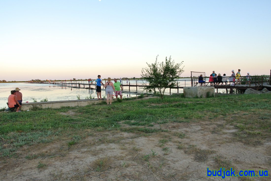 База отдыха Плай - территория. Курорт Рассейка. Фото N 7743. 2016 год